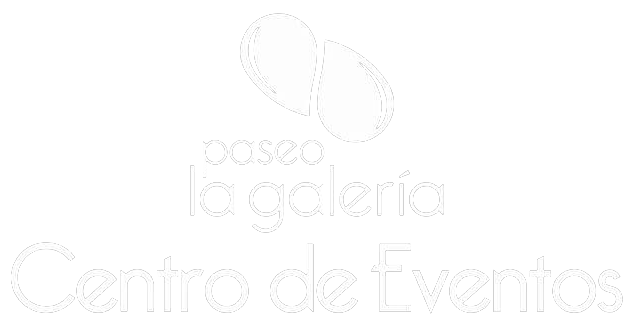 Logo Paseo de la Galería